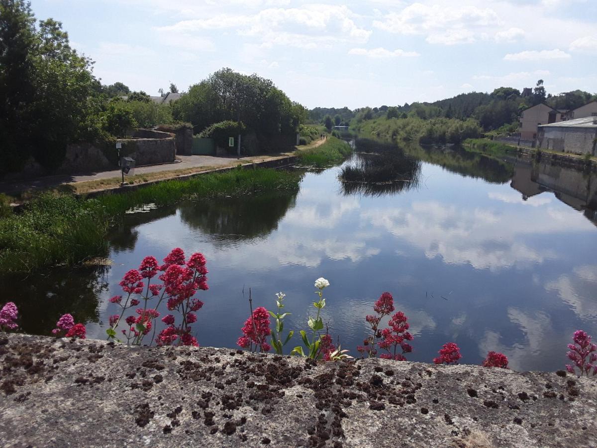 Matty'S Pub - Apartment'S Carlow Bagian luar foto
