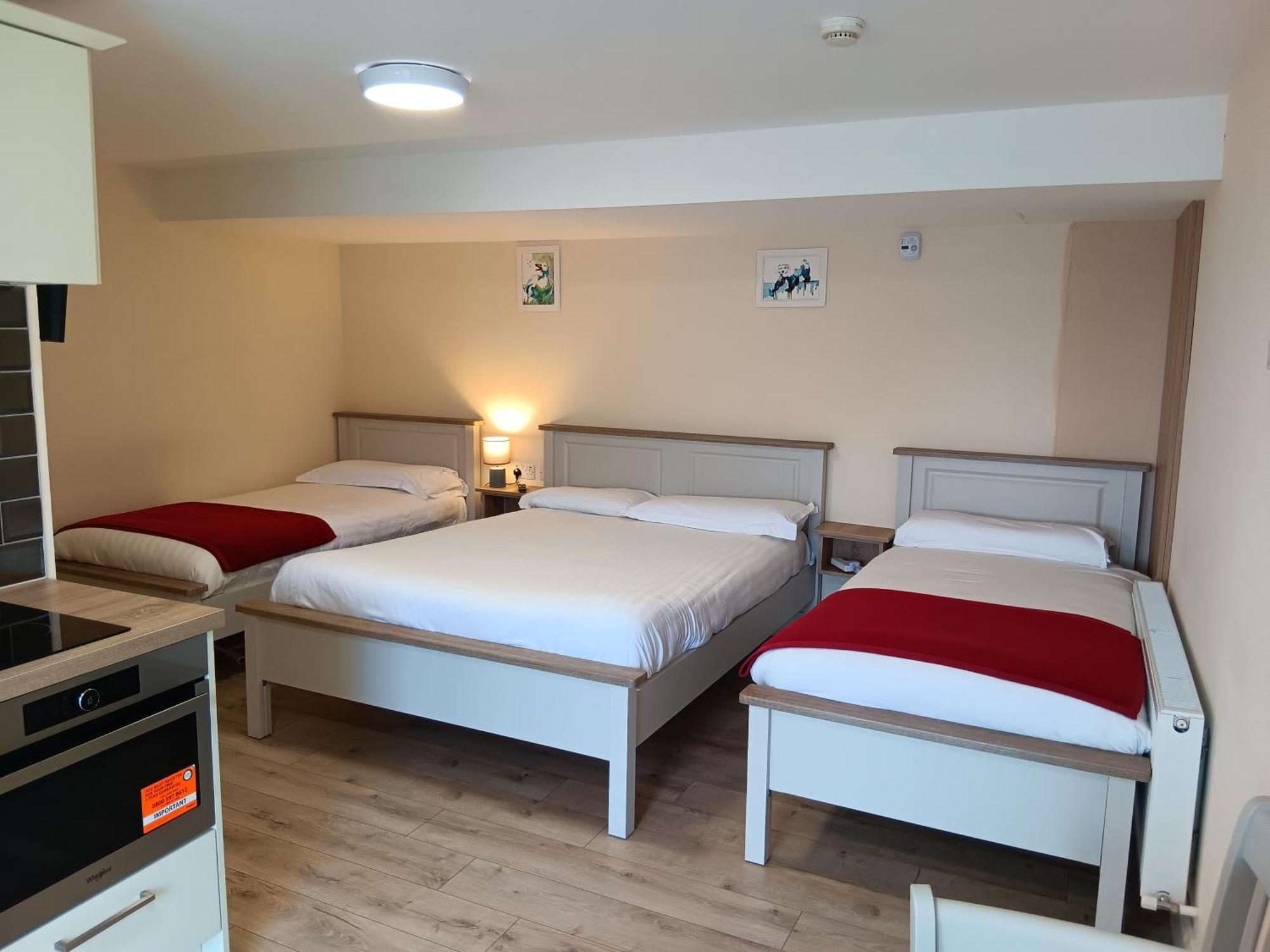Matty'S Pub - Apartment'S Carlow Bagian luar foto