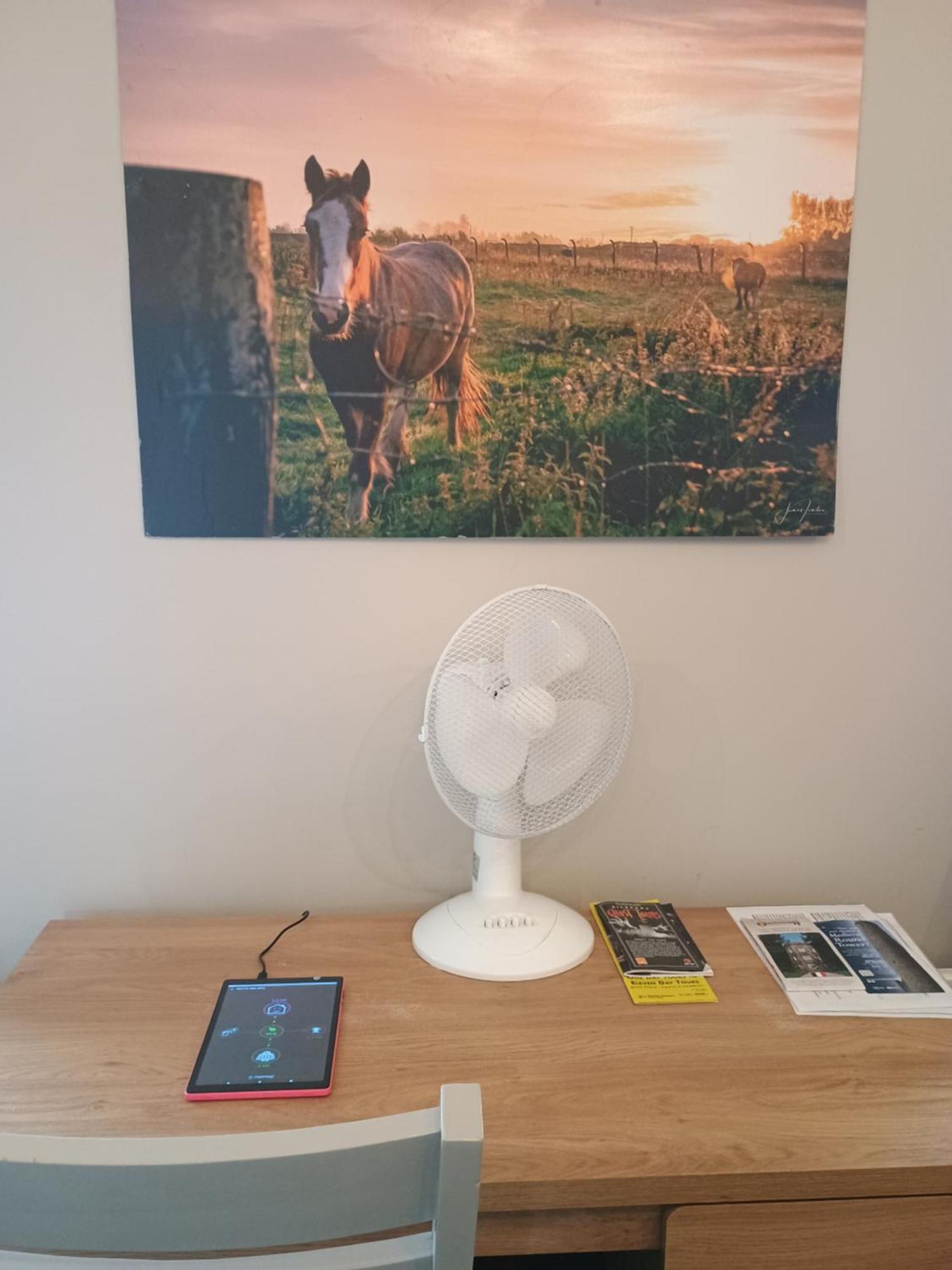 Matty'S Pub - Apartment'S Carlow Bagian luar foto
