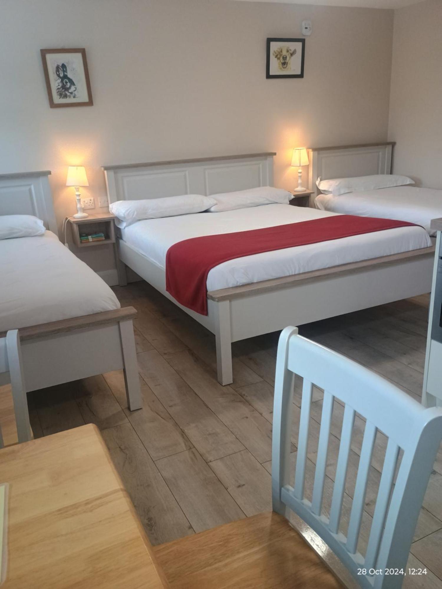 Matty'S Pub - Apartment'S Carlow Bagian luar foto