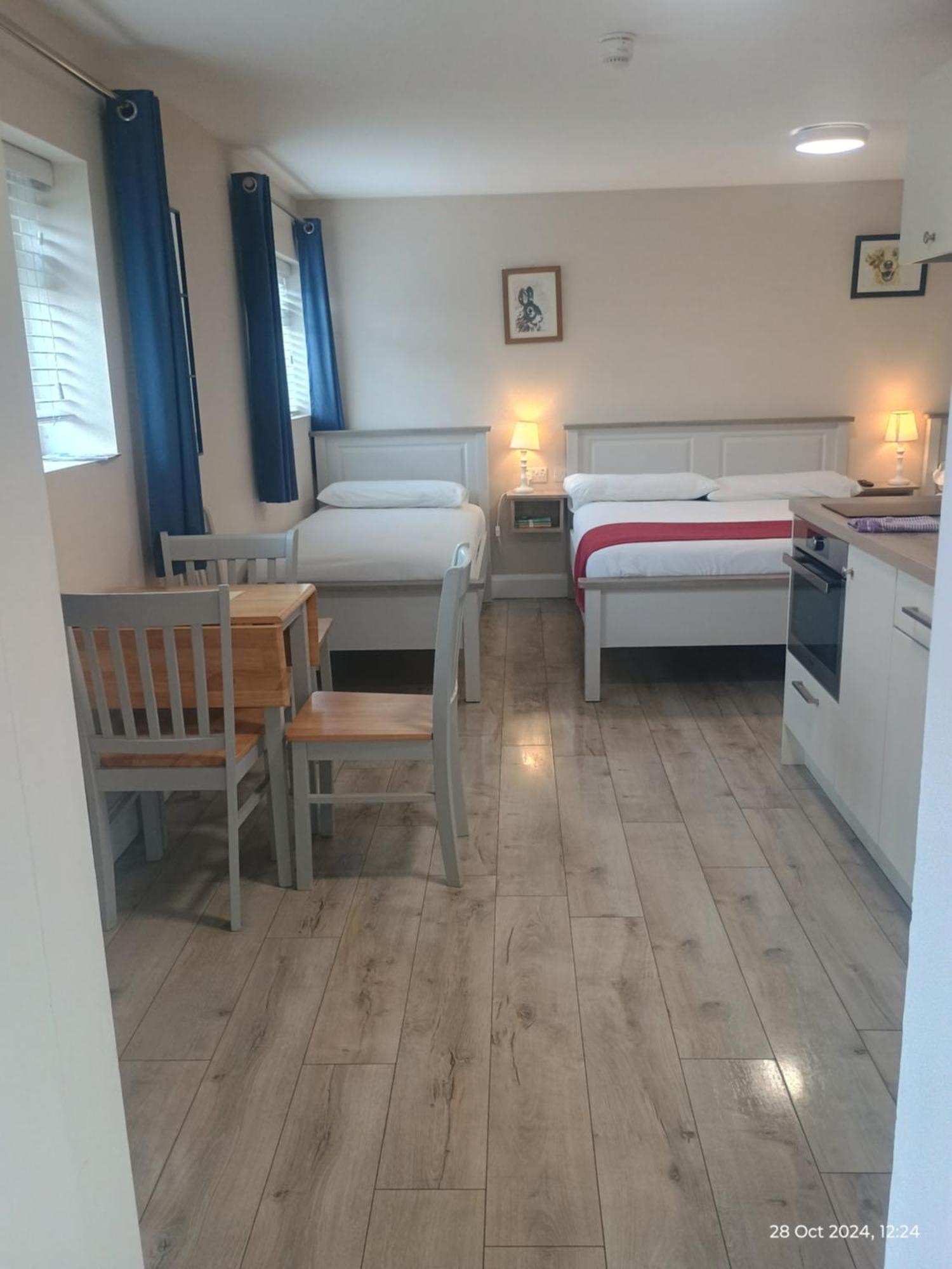 Matty'S Pub - Apartment'S Carlow Bagian luar foto